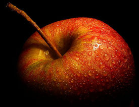 Der Apfel steht symbolisch für den verbotenen Wunsch nach Erkenntnis und die Verführung zum Wissen. Nicht ohne Grund hat ein kalifornischer PC-Hersteller ihn zu seinem Markenlogo gemacht. Bild flickr 